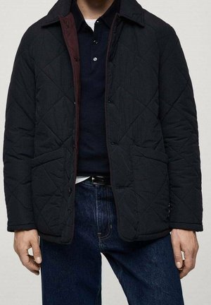 Veste d'hiver - royal blue