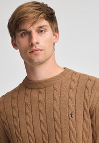 Brauner Strickpullover mit Zopfmuster und geripptem Rundhalsausschnitt. Auf der Brust befindet sich ein kleines dunkelblaues Logo. Weiche Textur, lässiges Design.