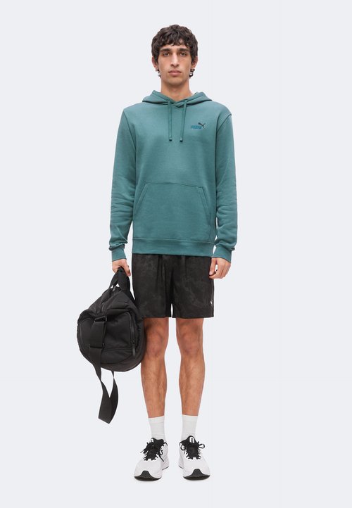 PUMA 2 COLOR SMALL NO. 1 LOGO HOODIE - Hoodie - herb garden — photo 2