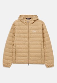 TRAIN CORE LIGHT JACKET - Doudoune - tigers eye