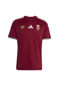 Maglia da calcio di colore marrone realizzata in tessuto sintetico. Presenta strisce bianche sulle spalle, loghi della squadra sul petto e dettagli verdi sulle maniche.