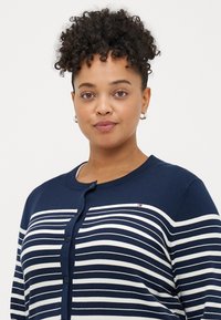 Μπλε ναυτικού πουλόβερ με λευκές οριζόντιες ρίγες, με κουμπί κλεισίματος και κοντά μανίκια. Διαθέτει λογότυπο στην αριστερή πλευρά του στήθους. Απαλή πλεκτή υφή.