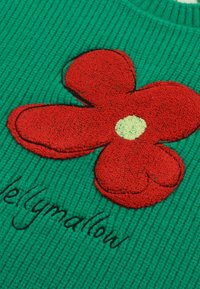 JELLY MALLOW FLOWER UNISEX - Strickpullover - green