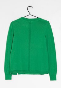 Grüner langärmeliger Pullover, der an einem schwarzen Metallkleiderbügel vor einem weißen Hintergrund hängt und die Rückseite zeigt.