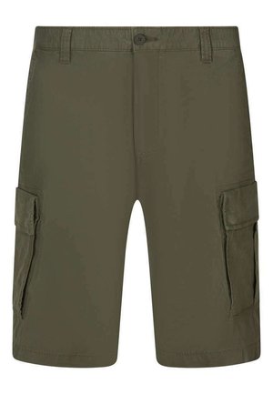 CARGO - Shorts - vert