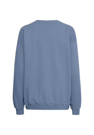 Zila sporta džemperis ar apaļu kakla izgriezumu, kritieniem pleciem, ribotiem piedurkņu galiem un apakšmalu. Mīksta auduma ar gludu tekstūru. Vienkāršs dizains, bez rakstiem.