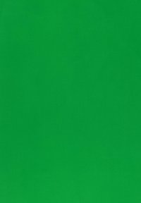 Tissu vert, texture lisse, couleur uniforme, aucun motif ni accent visible. Le matériau semble durable et flexible.