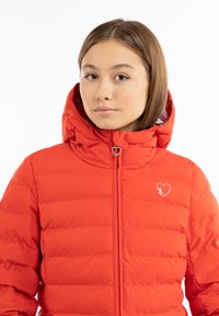 Jachetă pufosă roșie cu guler înalt și glugă, cu un design cusut quilted, fermoar frontal și un mic logo în formă de inimă pe piept.