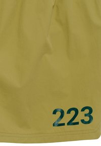 Olivgrüne Shorts mit glatter Textur, die auf der unteren rechten Seite einen großen, dunkeltürkisen "223"-Druck und sichtbare Nähte am Saum aufweisen.