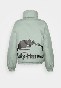 Doudoune vert menthe avec un col haut. Présente un grand logo noir et un graphisme de montagne au dos. Poignets élastiques.