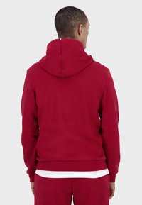 Felpa rossa con cappuccio vista da dietro, caratterizzata da un cappuccio senza cuciture, polsini a costine e un'etichetta ben visibile sul collo. Il tessuto appare liscio e morbido.