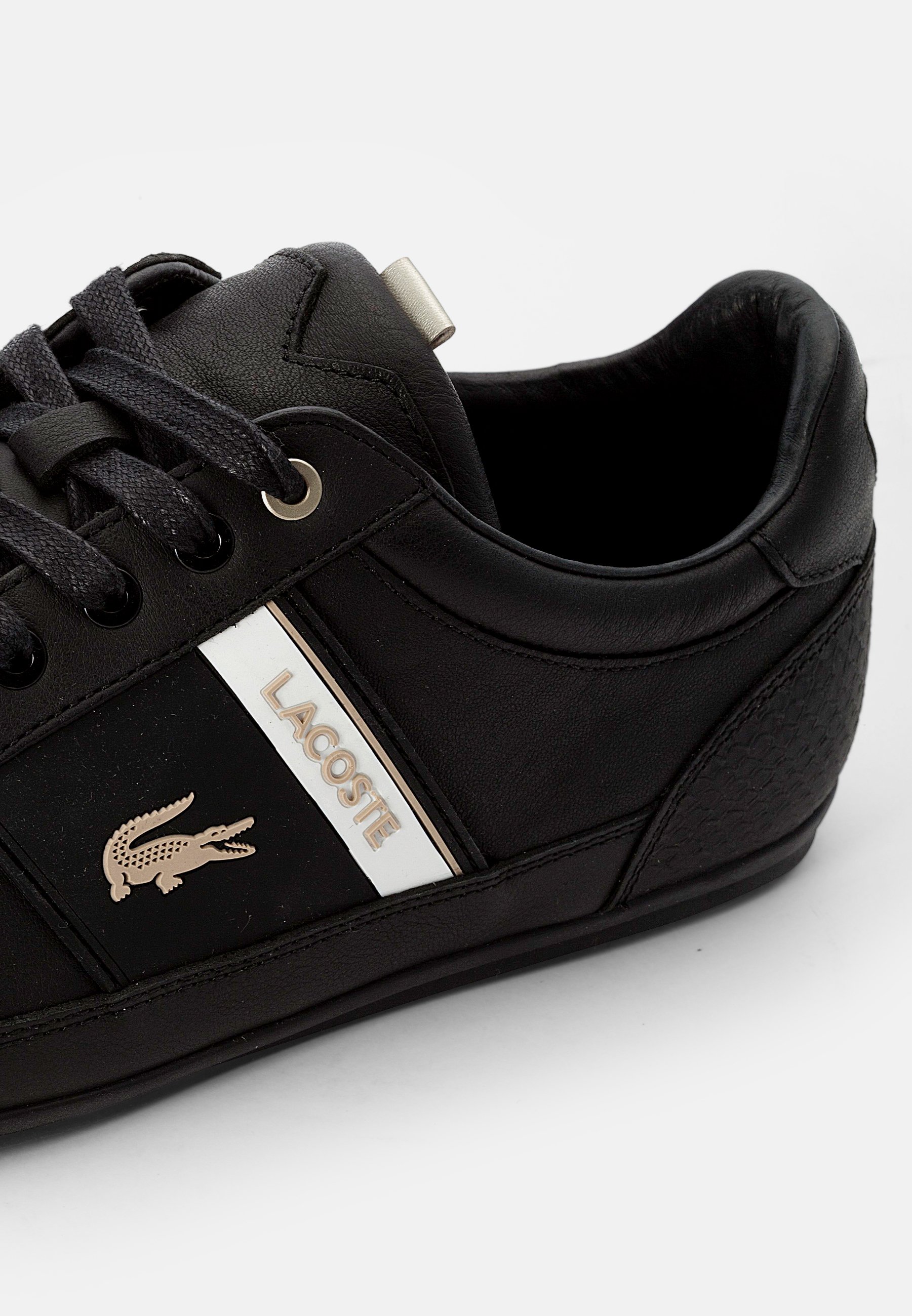 lacoste chaymon zalando