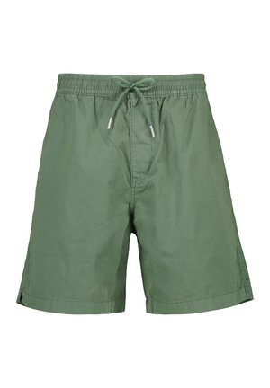 Shorts - green
