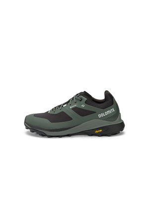 SCHUHE NIBELIA GTX - Hikingschuh - olive