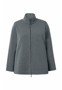 Veste grise à fermeture éclair avec col montant, en tissu doux, présentant une coupe droite et des manches longues, avec un détail de fermeture éclair visible.