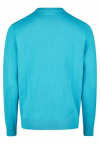 Türkiser Strickpullover mit langen Ärmeln, gerippten Bündchen und Saum, glatter Textur und ohne sichtbare Muster oder Verschlüsse.