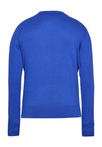 Blauer Strickpullover mit geradem Schnitt, langen Ärmeln und geripptem Saum. Verfügt über eine subtile Textur und ein klassisches Kragendesign.