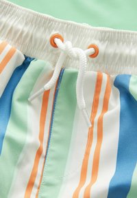 Herresvømshorts med lodrette striber i blå, grøn og orange. Elastisk talje med justerbar hvid snor og øjerne.