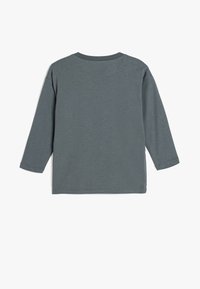 Szara, długi rękaw T-shirt z okrągłym dekoltem, wykonany z miękkiego materiału, o prostym, nieozdobionym wzorze i prostym dole.