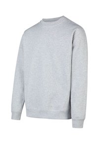 Gray cotton sweatshirt with a crew neck, long sleeves, ribbed cuffs, and hem. Plain design, no patterns or logos visible.