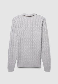 Hellgrauer Strickpullover mit strukturiertem Zopfmuster, gerippten Bündchen und Saum sowie einem klassischen Rundhalsausschnitt auf der Rückseite.