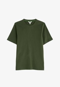 Vybráno, green hosta