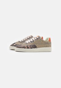 Scotch & Soda LAURITE - Sneaker low - camel