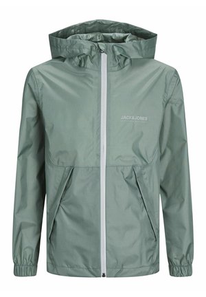 Sadetakki - mottled green