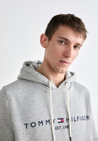 Tommy Hilfiger CORE LOGO HOODY - Hoodie - grey