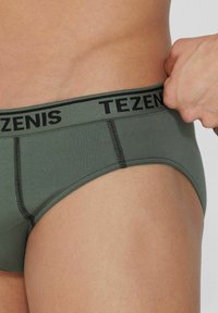 Tezenis CHRISTMAS - Kalhotky - Green