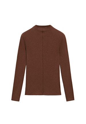 Maglia marrone a maniche lunghe realizzata in un materiale morbido, con un collo alto e una cucitura centrale sul retro. Tessuto liscio e forma aderente.