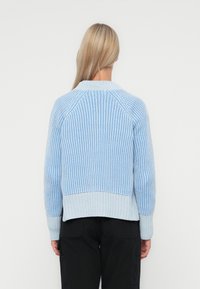 Lichtblauw gebreide trui met ribbeltextuur, voorzien van een ruime ronde hals en lange mouwen. Het ontwerp bevat horizontale strepen in verschillende tinten.