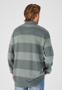 Langarmshirt met verticale strepen in tinten groen en grijs. Heeft een kraag en een gestructureerde stof. Casual pasvorm.
