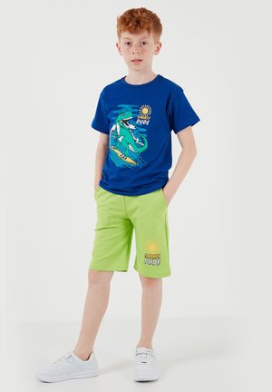 Niño pelirrojo con camiseta azul con un dinosaurio surfista y pantalones cortos verdes con el texto "Gnarly Dude", de pie con las manos en los bolsillos.