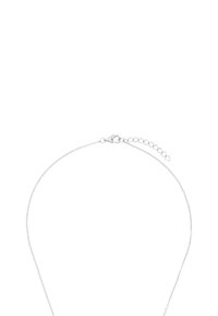 Collana in argento con chiusura a moschettone, caratterizzata da piccoli anelli rotondi e una catena di estensione per una lunghezza regolabile. Texture liscia e metallica.