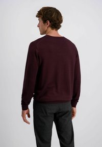 Junger Mann mit lockigem braunem Haar, der einen dunkelburgunderfarbenen langärmeligen Pullover und dunkelkarierte Hose trägt, mit dem Rücken zu einer schlichten Hintergrund.