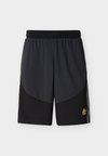 CURRY SPLASH SHORT - Športne kratke hlače - anthracite/black/lumin yellow
