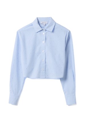 Bijgesneden lichtblauw overhemd met lange mouwen en verticale witte strepen, geaccentueerd met kleine zilveren stippen, voorzien van een klassieke kraag en een knopenlijst aan de voorkant.