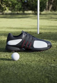 Black and white golf shoe placed on grass near a golf ball with a flagstick in the background on a golf course.