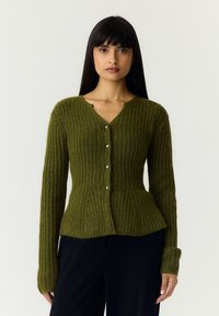 Неизбран, sphagnum