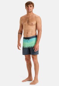 Męskie szorty kąpielowe z ombre gradientem przechodzącym od jasnej zieleni do ciemnego niebieskiego. Posiadają czarną szeroką talię z logotypem oraz zielone akcenty.