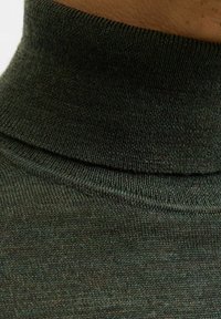 Ciemnozielony, dzianinowy sweter z golfem o dopasowanym kołnierzu, z subtelną strukturą i bezszwowym wzornictwem.