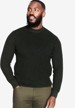 CREW NECK - REGULAR FIT TEXTURED  - Svetrík - dark green