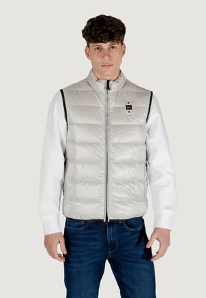 Gilet imbottito grigio chiaro con zip anteriore, texture leggermente lucida e dettagli neri alle aperture delle braccia. Presenta un piccolo logo vicino alla zip.