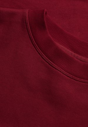 Superdry & Co, SUPERDRY ESSENTIAL HERITAGE CREW.. - Sweater - stanton red