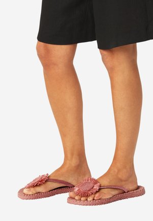 Nogi w czarnych szortach i różowych plecionych klapkach z dużymi kwiatowymi ozdobami z tkaniny na białym tle.