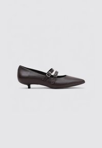 Zapatos de cuero marrón de tacón bajo con puntera afilada. Presentan dos correas decorativas con hebillas en el empeine. Textura suave.