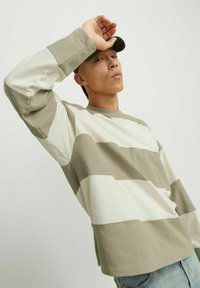 Jack & Jones JORBUSHWICK BLOCK CREW NECK - Sudadera - silver sage