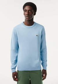Maglione azzurro chiaro a maglia con scollatura a girocollo e polsini a costine, con un piccolo logo verde Lacoste sul petto. Abbinato a pantaloni cargo verdi.