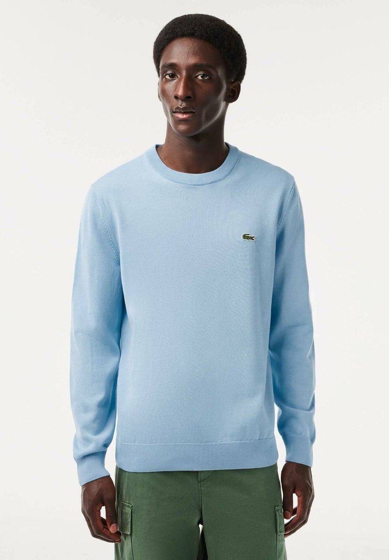 Maglione azzurro chiaro a maglia con scollatura a girocollo e polsini a costine, con un piccolo logo verde Lacoste sul petto. Abbinato a pantaloni cargo verdi.